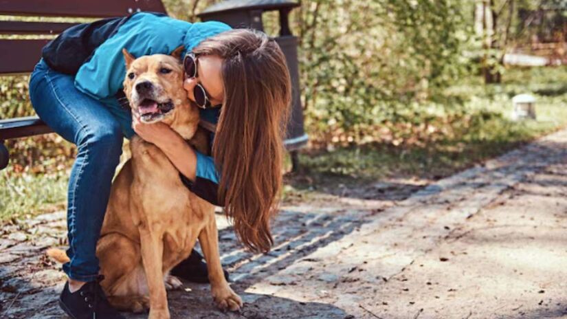 O contato com animais reduz a pressão arterial e a frequência cardíaca.

