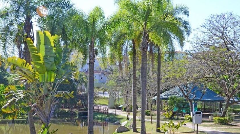 Aos amantes de animais, o Parque Zoológico Municipal Quinzinho de Barros oferece uma oportunidade de aprendizado e diversão, abrigando uma variedade interessante de diferentes espécies de animais, promovendo a educação ambiental - (Divulgação/PMS)