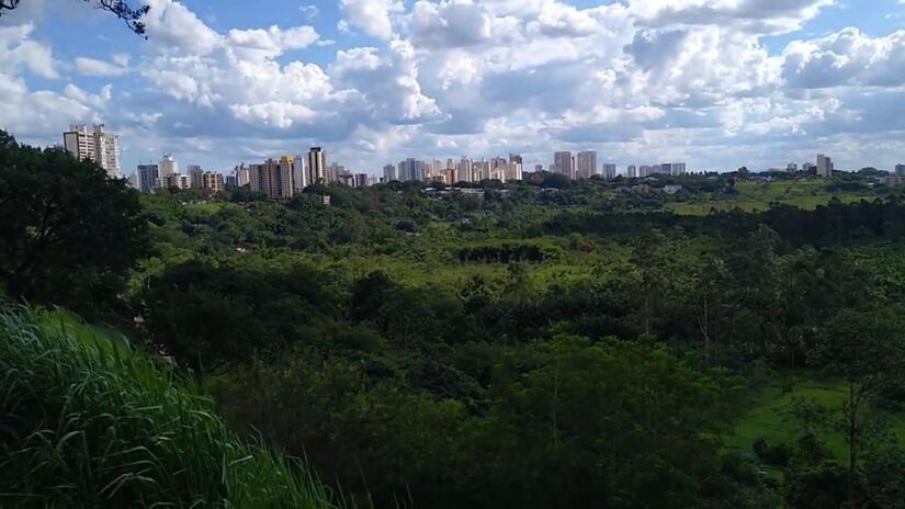 E é justamente no Banhado que a natureza se encarrega de oferecer seu maior espetáculo (Fotos: Youtube/Reprodução)