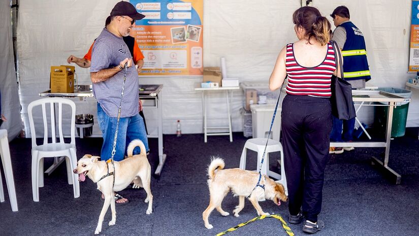 4ª edição da Semana Animal SP acontece de 28 de setembro a 4 de outubro de 2025 - Edson Lopes Jr/Secom