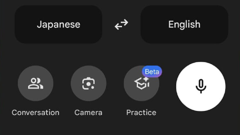 Primeiro abra o tradutor e clique no ícone. 