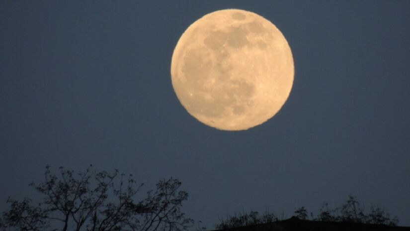 Apesar da apar&ecirc;ncia, o 2025 PN7 orbita o Sol  e n&atilde;o a Terra  em uma rara "dan&ccedil;a gravitacional" (Foto: PxHere)