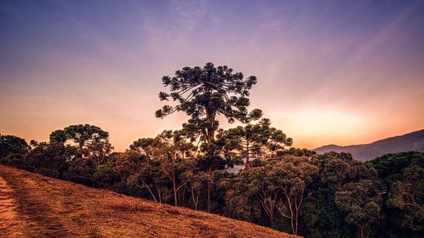 No outono, as cores alaranjadas e avermelhadas transformam o vilarejo em um cenário digno de foto.
