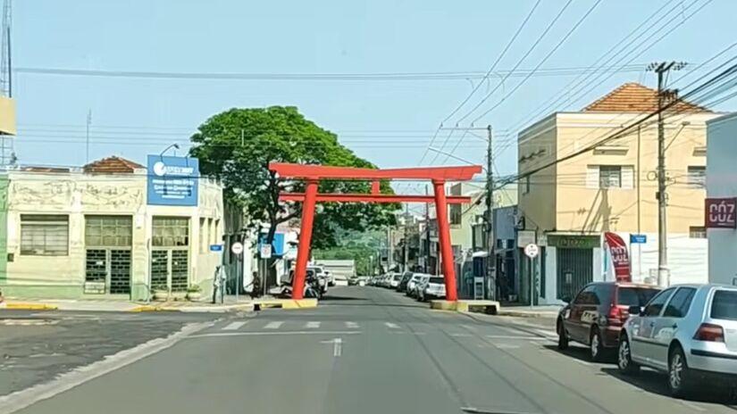 A tradição familiar passou de geração em geração e ajudou a sustentar o crescimento da avicultura no país. Fotos: Reprodução/YT/Rota 408 - Cidades do Brasil 