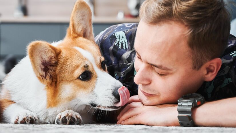 Os cachorros podem lamber os pés dos donos como forma de carinho, curiosidade ou até para chamar atenção