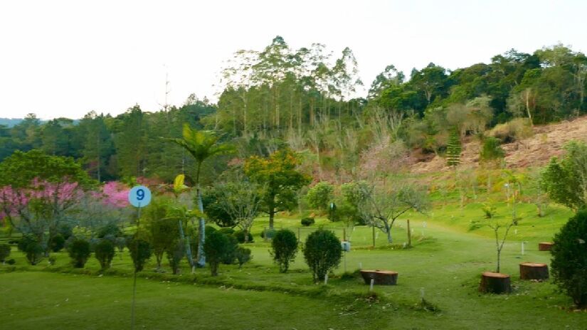 Templo Enkoji Zen: Fundado em 1995, o Templo Enkoji Zen oferece aulas de meditação e retiros espirituais. O local é um edifício sustentável, localizado em meio a uma natureza exuberante, com uma variedade de animais selvagens e um clima serrano ameno - (Reprodução/Facebook Templo Enkoji)
