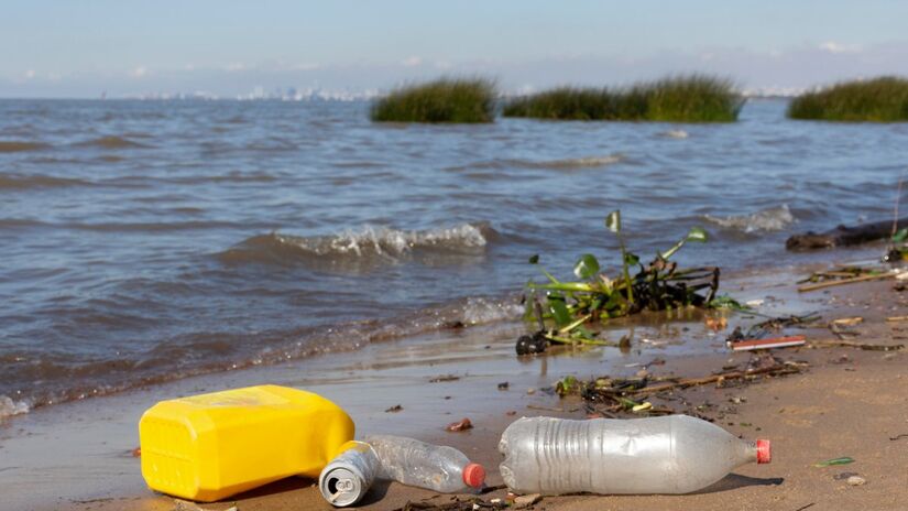 A praia é considerada imprópria quando a água do mar apresenta mais de 100 colônias de bactérias para cada 100 mililitros de água (Foto: Freepik)