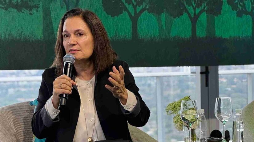 Marina Grossi destacou a necessidade do setor privado em assumir o protagonismo na transição climática/Divulgação