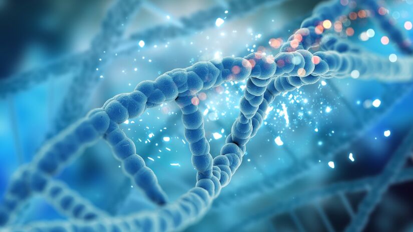 O objetivo do estudo era encontrar variações no DNA ligadas ao uso da planta (Fotos: Freepik)