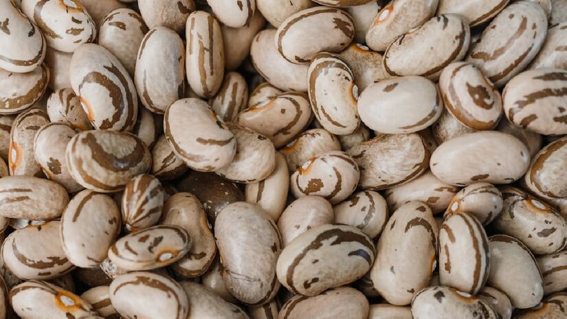 Mais rico em alguns antioxidantes, o feijão tem a seu favor a maior variedade de minerais - (Arina Krasnikova/Pexels)
