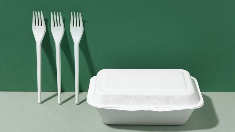 Cultivar morangos em marmitex garante isolamento térmico e melhor desenvolvimento das raízes