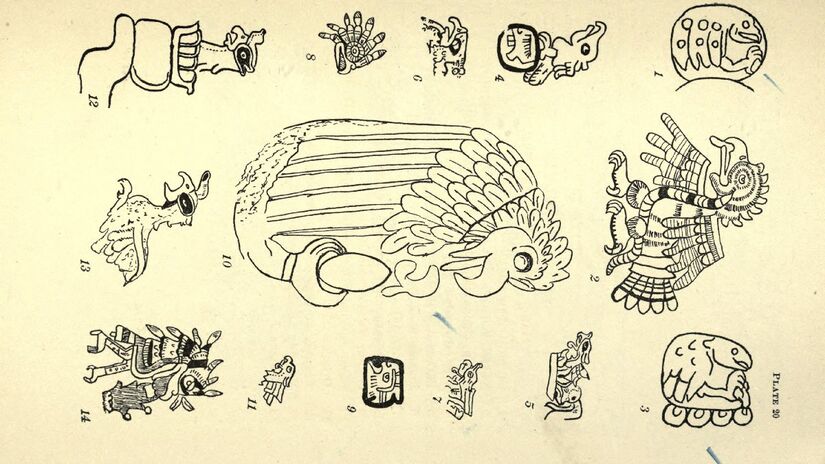 A ave já era cultuada pelos maias muito antes da chegada dos espanhóis. Imagem: Domínio Público