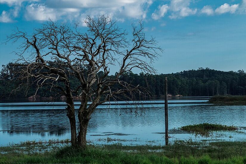 Jundiaí é reconhecida pelo investimento em saúde, saneamento e preservação ambiental (Foto: Djalma Armelin/Wikimedia Commons)