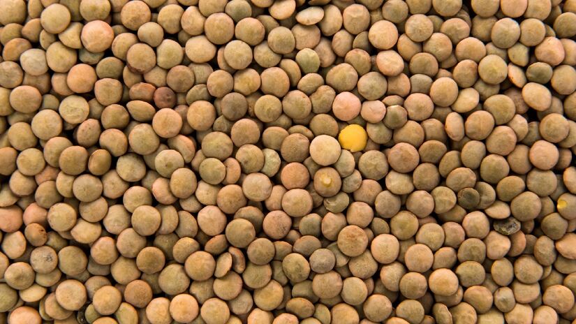 A lentilha também leva vantagem em possuir mais proteínas, fósforo e vitamina B9, além de possuir um índice glicêmico mais baixo do que o feijão - (Luis Molinero/Freepik)