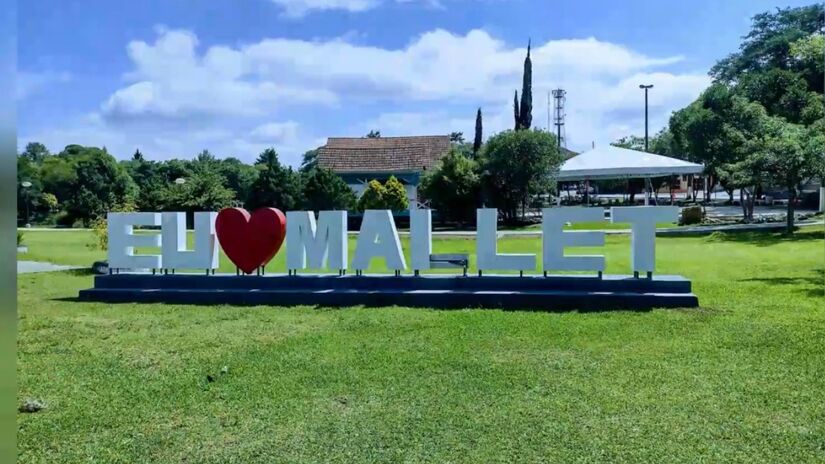 Mallet é responsável por mais de 17% da produção de kiwi do Paraná
