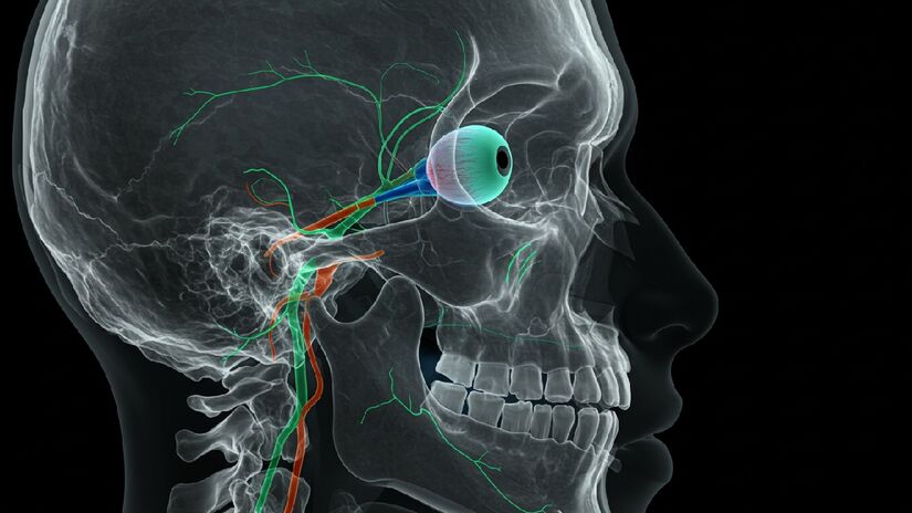 Entenda como aparecem os sintomas típicos da intoxicação. Imagem gerada por inteligência artificial