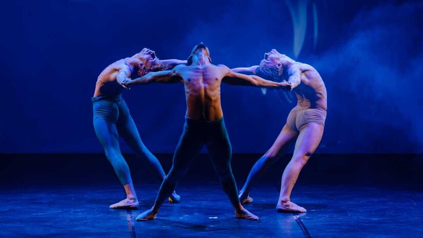 Em sua teoria, o pensador classificou os diferentes humores corporais do ser humano para explicar estados de saúde ou doença que influenciam a natureza humana, disposição, razão, sentimentos.