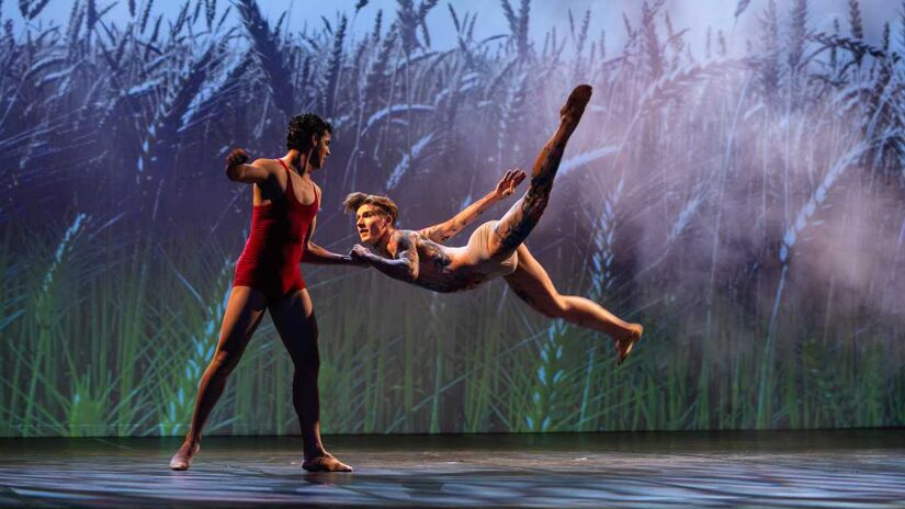 Espetáculo é inspirada na teoria criada por volta do ano 400 a.C. pelo médico e pensador grego Hipócrates II, que é considerado o pai da Medicina, sobre os quatro tipos de temperamentos humanos.