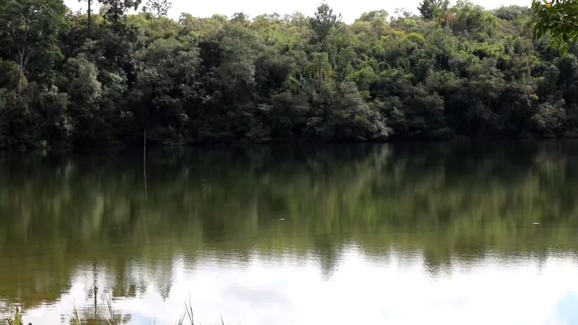 Com a nova fase, Ponta Grossa se consolida como um polo de turismo natural e sustentável no Brasil. "Nosso trabalho é cuidar dele para as futuras gerações, mas também transformá-lo em um espaço de lazer, ciência e negócios", completa Ribas. Foto: Reprodução YT/Arruma Essa Mala