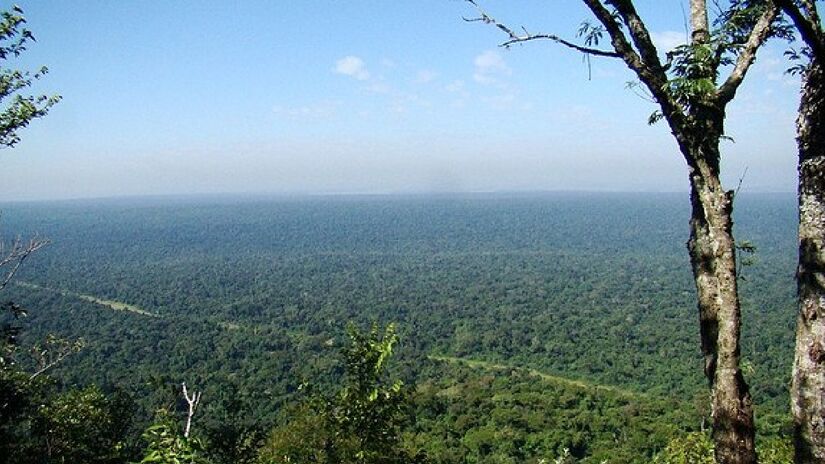 Maior remanescente de Mata Atlântica do interior de São Paulo, o Parque Estadual do Diabo, em Teodoro Sampaio, é uma das maiores riquezas naturais do Estado - (Fabiane Bacon/Wikimedia Commons)