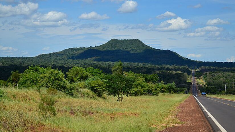 De princípio, a floresta original cobria parte dos estados de Minas Gerais, Rio de Janeiro, São Paulo e Paraná, até ser fragmentada ou desmatada - (Ipe Instituto de pesquisas ecológicas/Wikimedia Commons)