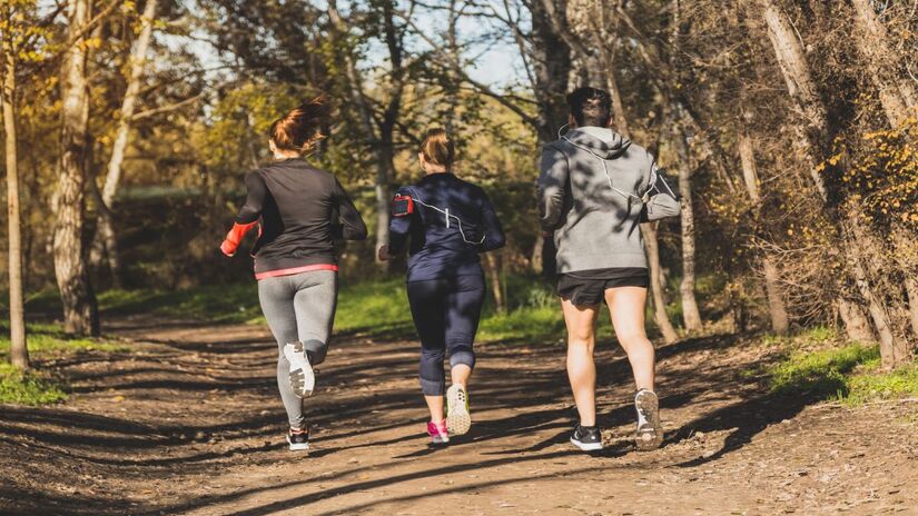 Pesquisas também indicam que pessoas que caminham em áreas verdes dormem melhor e apresentam humor mais estável (Fotos: Freepik)