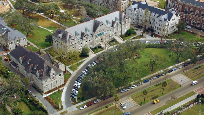 Macacos pertenciam à Universidade de Tulane, de Nova Orleans. /Tulane Public Relations/Wikimedia Commons