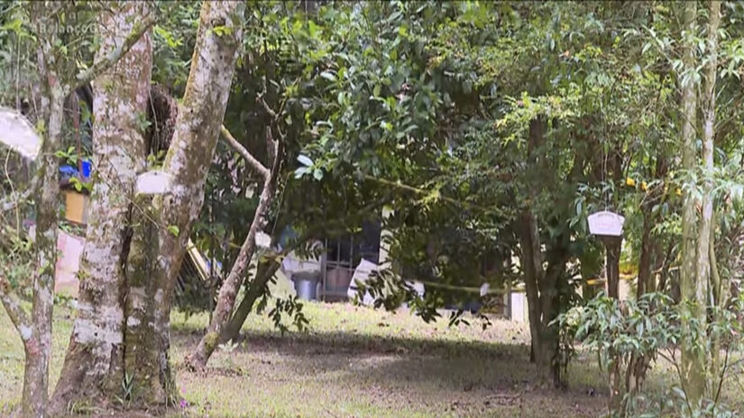 A ilha é um Refúgio da mata Atlântica na cidade de São Paulo - Reprodução/ YouTube