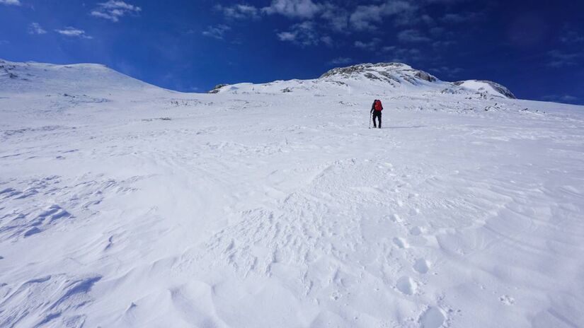 Não é um país, mas sim um continente sem população permanente, habitado apenas por cientistas e equipes temporárias.