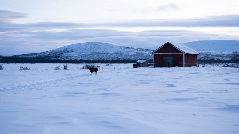 É o lugar mais frio do planeta: já foi registrada a temperatura de 89,2 °C.