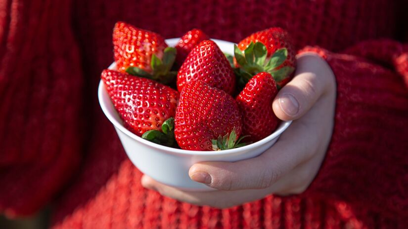 Algumas frutas, como o morango, ajudam a manter a glicose estável, segundo nutricionista
