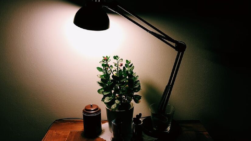 Sem a necessidade do uso do abajur, se elimina também a necessidade de uma mesa de cabeceira para servir como apoio da iluminação do objeto - (Daniel Frese/Pexels)