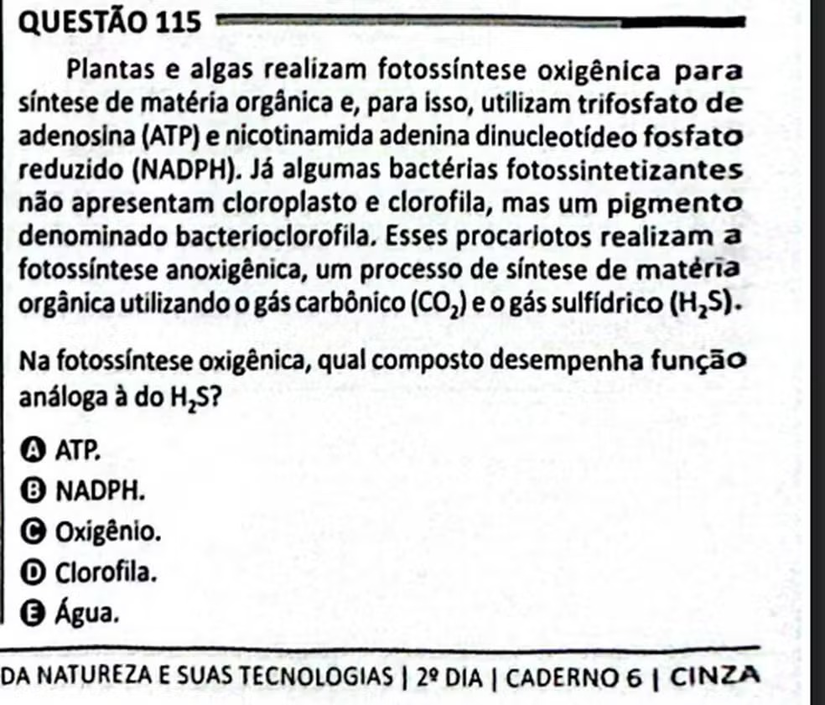 Questão 115 do Enem sobre fotossíntese. Foto: Reprodução