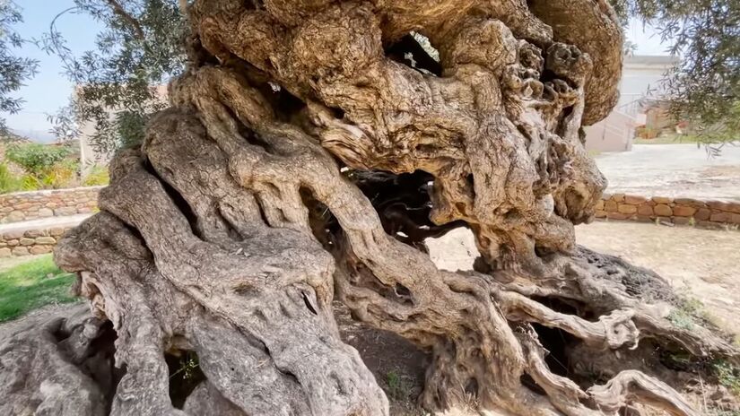 Ano Vouves está a cerca de 30 quilômetros de Chania, uma das cidades mais charmosas do oeste de Creta.