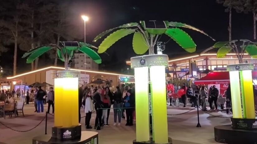 Além da função ecológica, a floresta líquida tornou-se uma nova atração turística, somando-se ao teleférico, ao lago e às áreas de convivência do parque  que recebe, segundo a prefeitura, cerca de 4 milhões de visitantes por ano. Fotos: Reprodução YT/Jornalista Márcio Correia