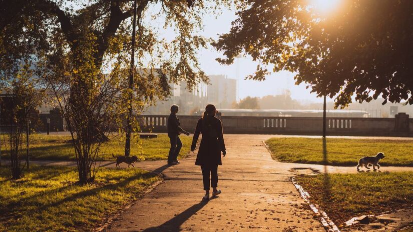 Pesquisas brasileiras e internacionais confirmam: viver perto do verde está associado a menos ansiedade e mais bem-estar