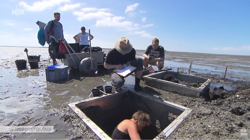 Uma "cidade perdida" no Mar de Wadden deixou de ser lenda quando leituras do subsolo revelaram alinhamentos, um antigo porto e traços de urbanização