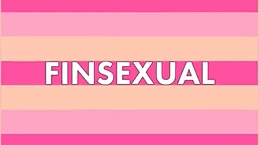 A bandeira finsexual utiliza tons de rosa e lilás para representar a feminilidade e a diversidade de expressão de gênero (Foto: Reprodução/Youtube)