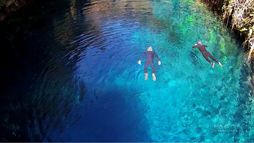 A visibilidade ultrapassa 40 metros e transforma o mergulho em uma experiência de suspensão no ar