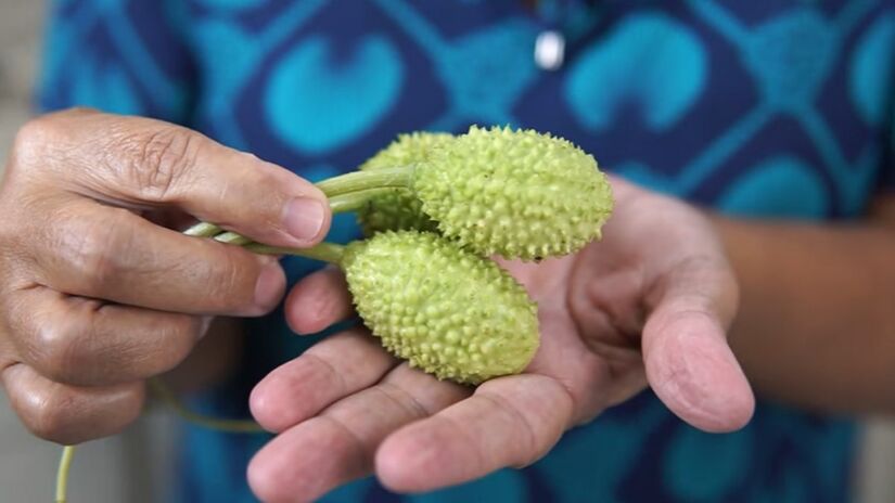 Por causa da aparência espinhosa, o maxixe não é o vegetal favorito de grande parte dos brasileiros (Foto: Reprodução YouTube/Cozinha da Wilza)