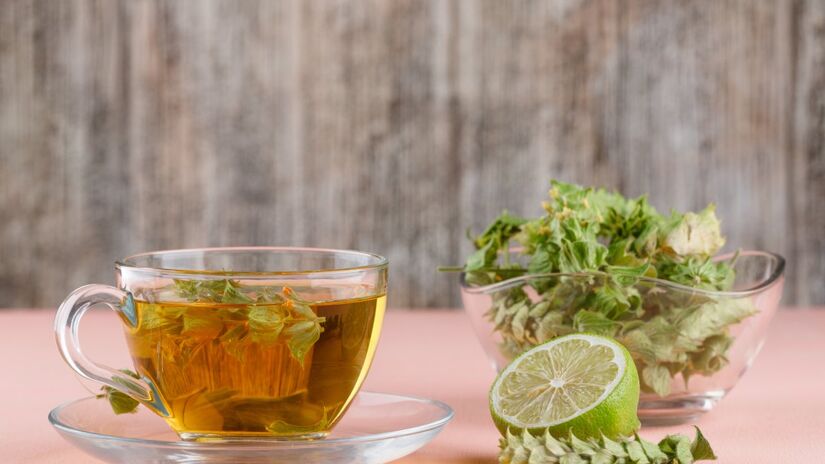 Planta fácil de cultivar em casa, a melissa também ajuda a aliviar cólicas e tensões