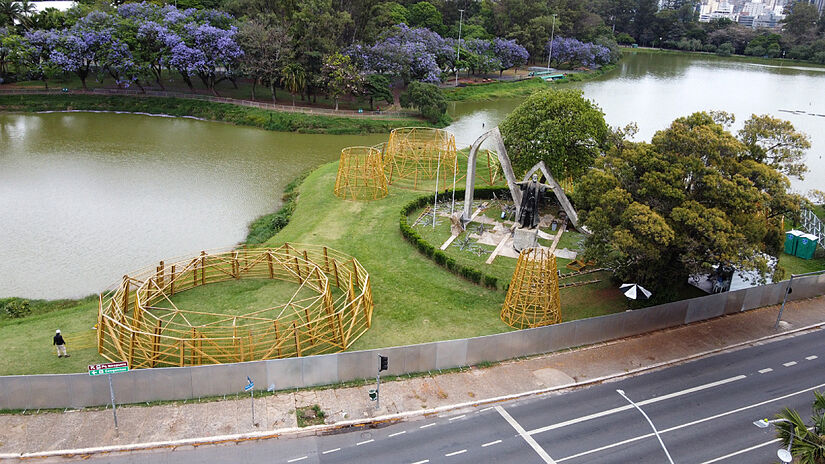 Consagrada como a maior árvore de São Paulo, a atração terá 57 metros de altura. Foto: Yuri Villaça/Gazeta S. Paulo