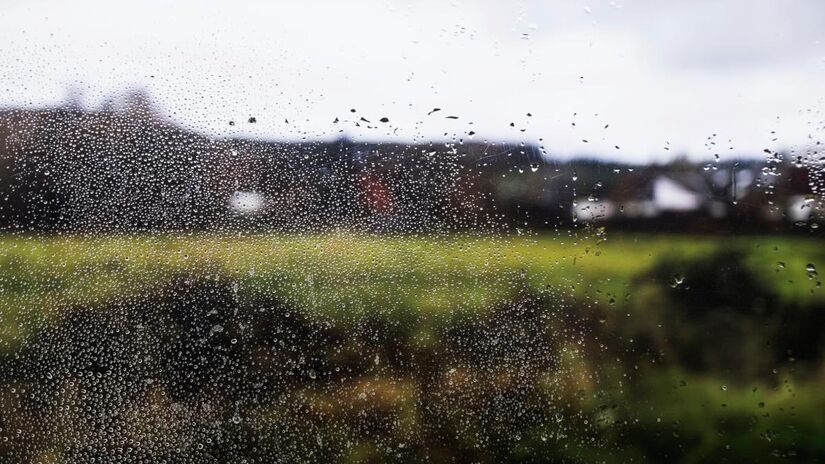 A geosmina, produzida por bactérias do solo, é a principal responsável pelo cheiro que anuncia a chegada da tempestade