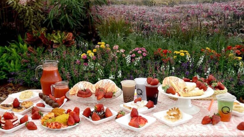 Gastronomia: sabores da montanha e pratos leves para o calor

A culinária local é um dos pontos fortes de Atibaia. Restaurantes e bistrôs oferecem desde pratos típicos da montanha, ideais para noites mais frescas, até opções leves e contemporâneas, perfeitas para o verão.
É possível saborear um fondue artesanal, mas também peixes grelhados, saladas e sobremesas refrescantes que aliviam o calor.

Foto: Instagram