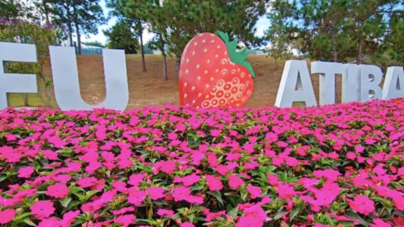 Capital dos Morangos: colheita e eventos o ano todo

Conhecida como Capital dos Morangos, Atibaia celebra sua produção com festas e eventos temáticos.
A experiência mais procurada é visitar os sítios rurais e colher a fruta direto do pé  um passeio divertido, saboroso e fotogênico, especialmente para famílias com crianças.

Foto: YouTube