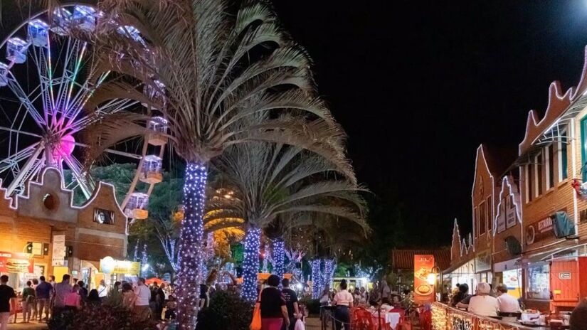 Holambra

Famosa por suas flores e cultura holandesa, Holambra  que fica a cerca de 130 km de São Paulo  realiza todos os anos o "Natal das luzes" um evento com parada natalina, mercado de artesanato, shows ao ar livre e uma árvore de mais de 15 metros de altura. A cidade ganha uma atmosfera de conto de fadas, com decoração inspirada na tradição europeia. Ideal para famílias e casais que buscam um passeio romântico e colorido.

Fotos: YouTube

