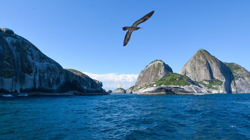 Localizado a aproximadamente 33 quilômetros da costa de São Sebastião, o Arquipélago de Alcatrazes é uma das áreas mais preservadas do litoral paulista. Foto: Wikimedia Commons