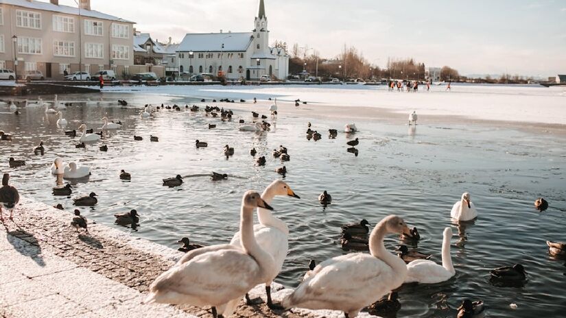 Os banhos termais são parte do cotidiano e da tradição local, indo além de atrações turísticas, funcionando também como pontos de encontro social e espaços para relaxamento coletivo - (Pavel Danilyuk/Pexels)
