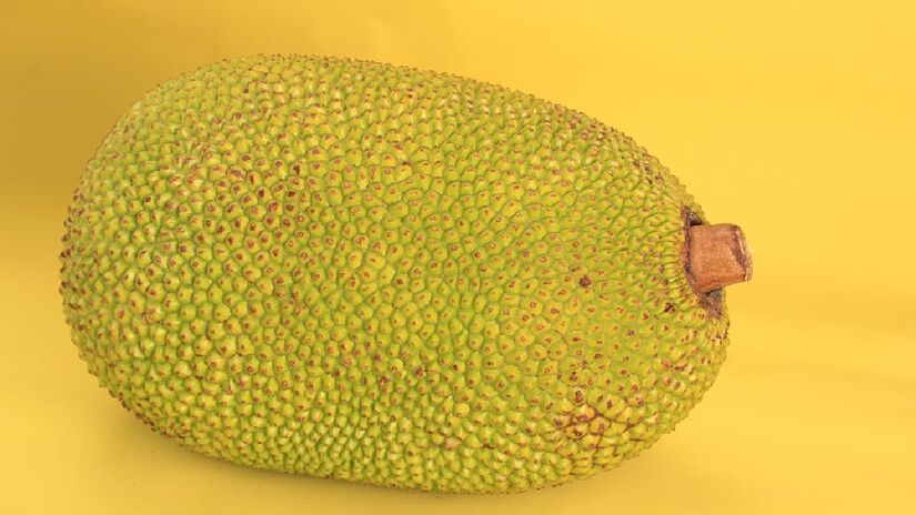 Trazido pelos portugueses ao solo brasileiro, a jaca se adaptou ao clima do país sul-americano e se tornou um aliado da alimentação saudável - (球 王求/Pexels)