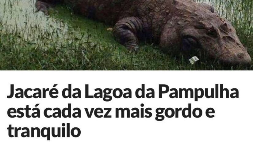 Tudo teve início com uma foto do réptil conhecido como Jucelino, capturada perto do Mineirinho e enviada à redação do jornal Estado de Minas. Foto: Redes Sociais